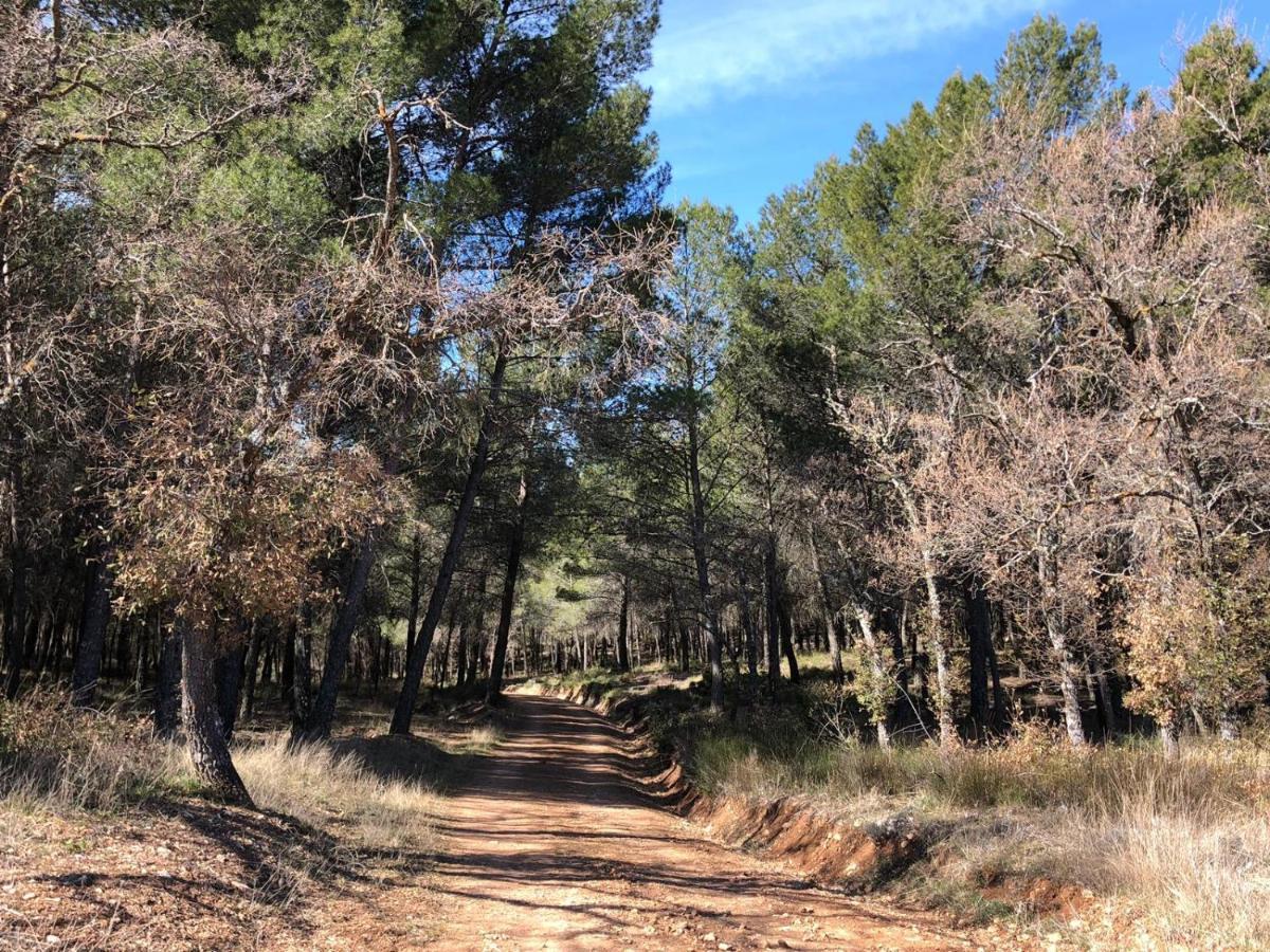 De Felipe Casa Rural Horche 外观 照片